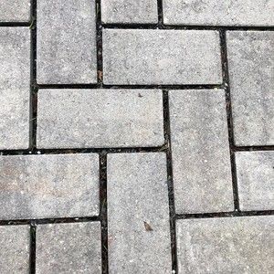 Meet your Posher, Sylvia